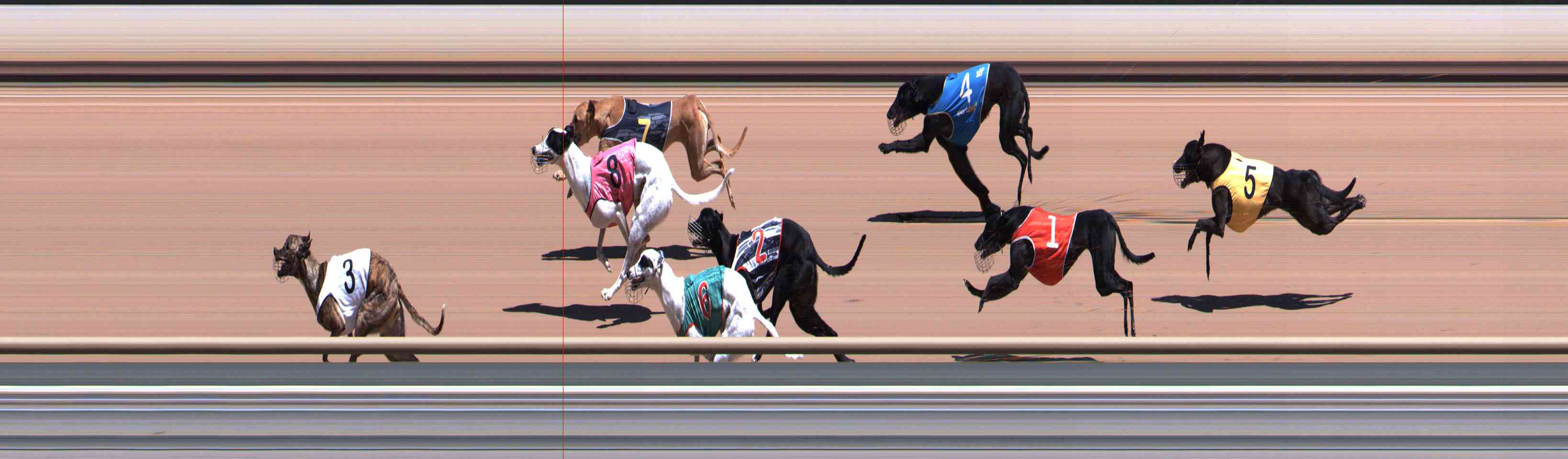 Race result finish photo